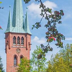 Profilbild von Ev. luth. St. Nicolai- und Catharinen-Gemeinde Wahrenholz